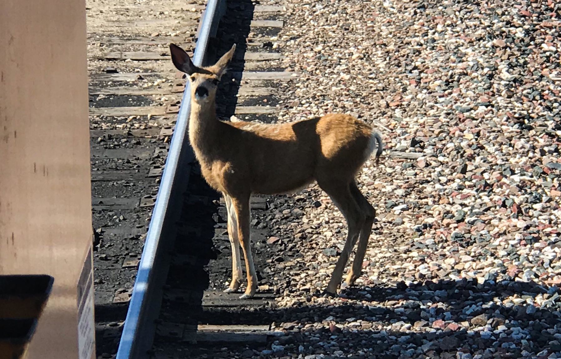 View from the rails